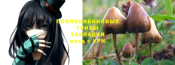 PSILOCYBIN Заволжье